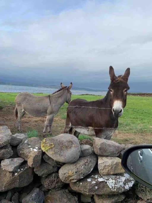Holiday home Bumblebee Donegal Town